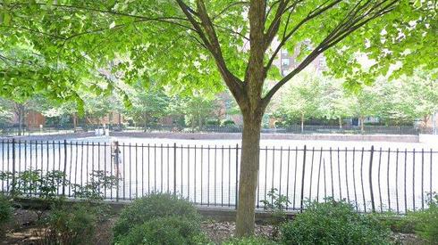 rent apartment 252 1st ave