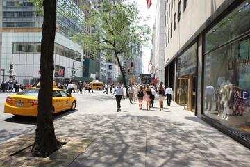 Rent Fifth Avenue Retail 3